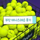 라테니스존 | [공지] 부산 해운대 테니스 레슨 추천 : 라테니스