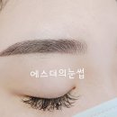 에스더의눈썹