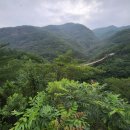 청산파크 이미지