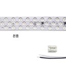 진성리폼