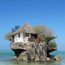 바위섬식당 이미지