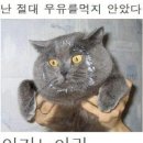정도마트 이미지