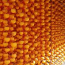 (주)와우보스 | (26.04.08)14브릭스 명품 블랙보스 블랙망고수박 입성 + 시즌 역대급 당도, 명인 꿀참외2종 + 재구매...