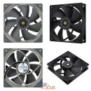 TL골프스튜디오 이미지