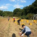 아산시청 이미지