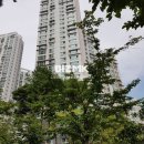 수성561-0010부동산중개사무소 이미지