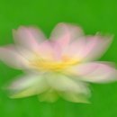 한국 카메라 박물관 이미지