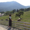 양아목장 이미지