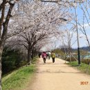 금호강5 이미지