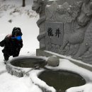 맑은샘이 있는 봄 이미지