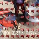 보성집