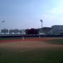 탄천야구장 이미지