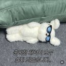 햅삐 | 2박 3일 햅삐 부산 여행 (4) : BTS 부산콘서트 후기 💜