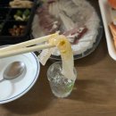 입실회센타 | 강원 강릉시 주문진읍 :: 특선 모둠회 맛집 [찐수산대게횟집 주문진방파제회센터본점] 2인 포장 후기