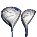 마제스티 이미지