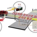 신호 세계일보