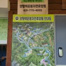 백운봉 | 양평 백운봉 자연휴양림 솔마루 3 숙소 후기 – 숲 속 힐링여행 제대로 했어요