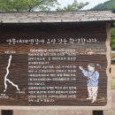 1233회 괴산군 신선봉 마패봉 11월1일 이미지