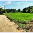 바를정 회 이미지