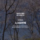 소품분재원 | 화담숲 다녀온 후기 | 모노레일 현장예매 꿀팁 + 추천 코스