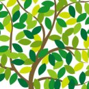 서해건강마을 이미지