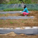 우복농장 이미지