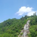 달맥 Daum카페