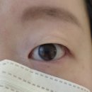 일리즈눈썹&속눈썹펌 | 오창속눈썹 고민 끝! 재방문율 높은 눈에띄네속눈썹&amp;눈썹 속눈썹펌·연장 후기