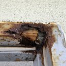 문베이호텔 | 제주방화문수리 성산읍 브리즈베이호텔 옥상문 힌지부식 용접수리 후기