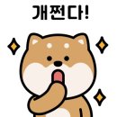솔강원 막국수 이미지