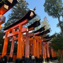 신사로 | 만한 곳 후시미 이나리 타이샤 ,센본토리이 여우신사 방문 후기 개방시간, 관광 소요시간 도리이 의미 뜻