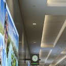 렉스관광호텔 | 두바이 몰, 두바이 공항 면세점 - 두바이 반나절 관광(스타벅스, 폭포, 아쿠아리움, 공항 면세점, 픽스...