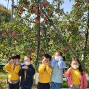 덕산농원 이미지