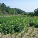 두산농장 이미지