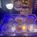 일팔팔 | 제주 동문시장 맛집 죽 전문점 일팔팔