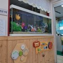 아쿠아트 이미지