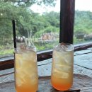 야원목장 이미지