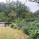 행복한전원공인중개사사무소 이미지