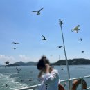 난지도소나무펜션 | 소난지도 이동하기/소난지도 소나무펜션 내돈내산후기/ 대난지도 바다, 갯벌체험,바베큐,여름휴가