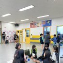 전진 효 태권도장 이미지