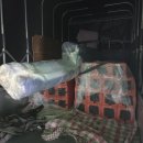 시은소교회 이미지