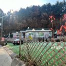 와일드베이커스