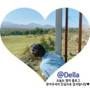 베프를 위한 깜짝 브라이덜샤워 준비! (비용공개, 원피스, 케이크, 풍선 등)