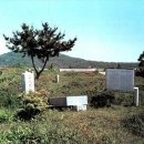 이화우 이미지