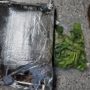 량진희정과맛집