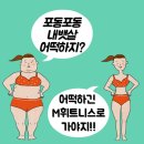 엠휘트니스 용문 | [ 괴정동PT ㅣ괴정동피티 ] 뱃살 어떡하지?! M휘트니스로!!