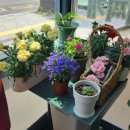 카페카리스(평촌교회) 이미지