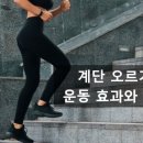 포엠필라테스