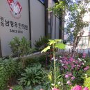 경희남정우한의원 이미지