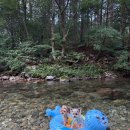 용산-현장-1349 | ‘쪼큼’ 즐거웠던 8월 기록